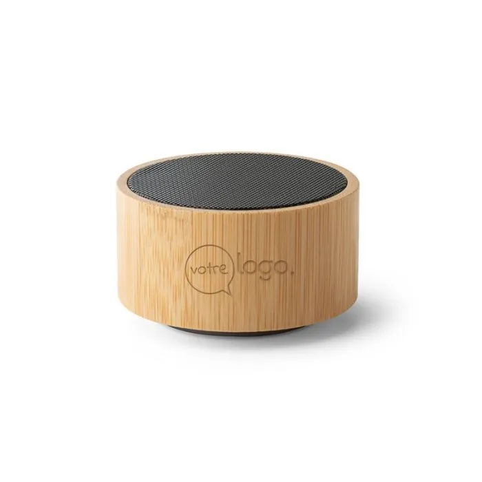 Haut-parleur portable avec microphone publicitaire - ARBER.