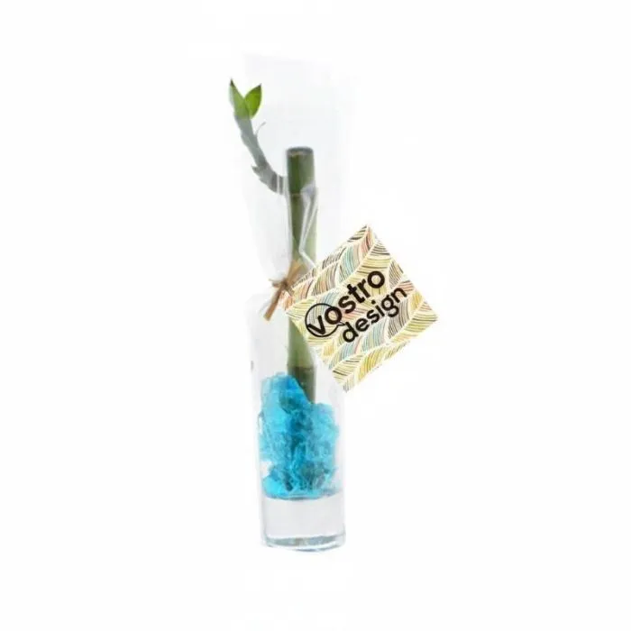 Bambù d'acqua in vaso personalizzabile
