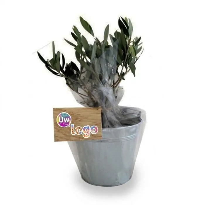 Gepersonaliseerde houten kaart 85x54 mm
