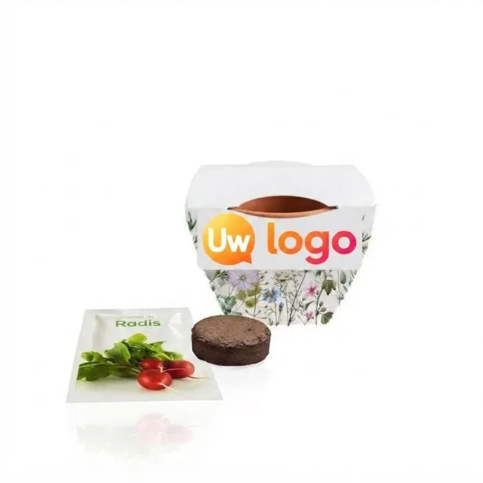 Gepersonaliseerde plantenset met terracotta pot van 6 cm