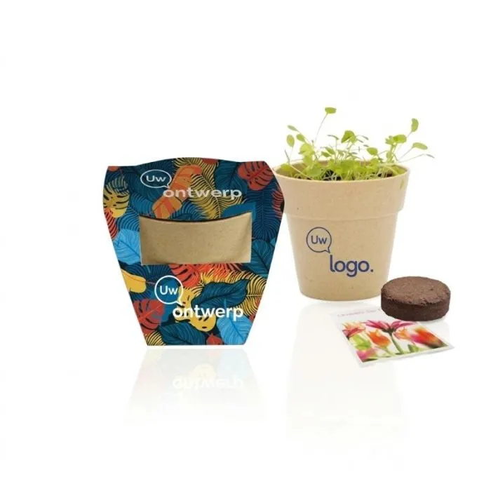 Reclame-plantenset in een biologisch afbreekbare bamboepot