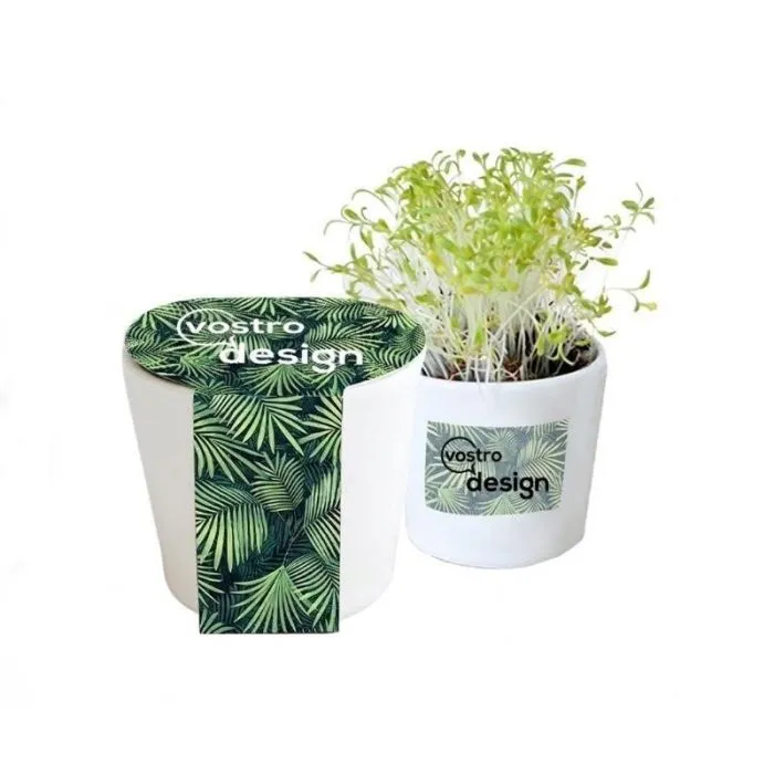 Kit di piantagione personalizzabile in ceramica