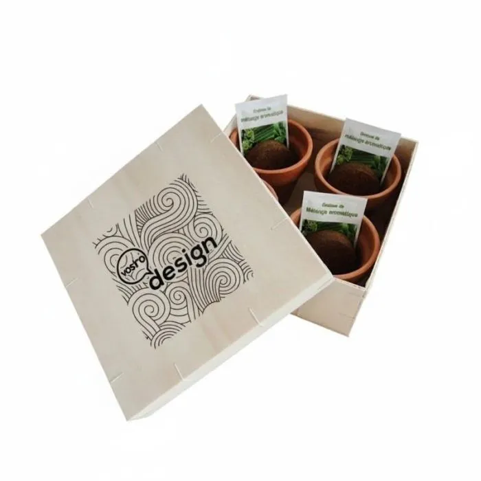 Cofanetto promozionale in legno con 4 piante aromatiche