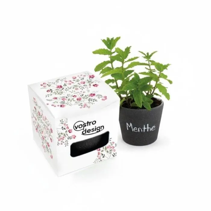 Kit di vaso pubblicitario in ardesia con semi da piantare