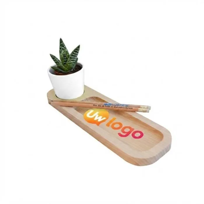 Gepersonaliseerd natuur-bureau-setje met keramische pot en plant