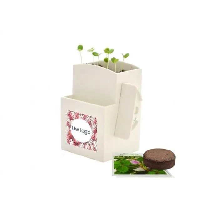 Gepersonaliseerde Vegetal-box voor op kantoor