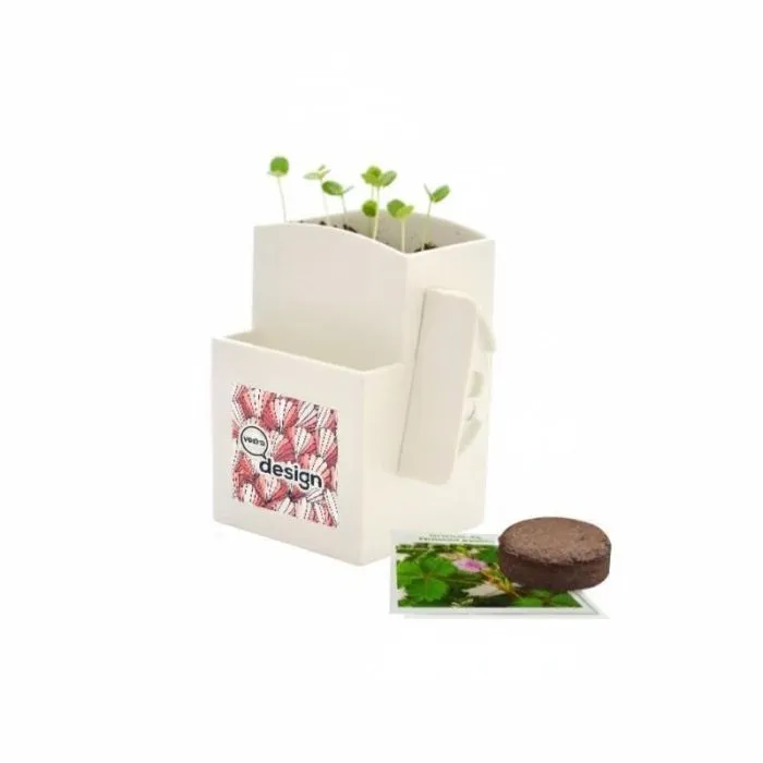 Vegetal-box da ufficio personalizzata