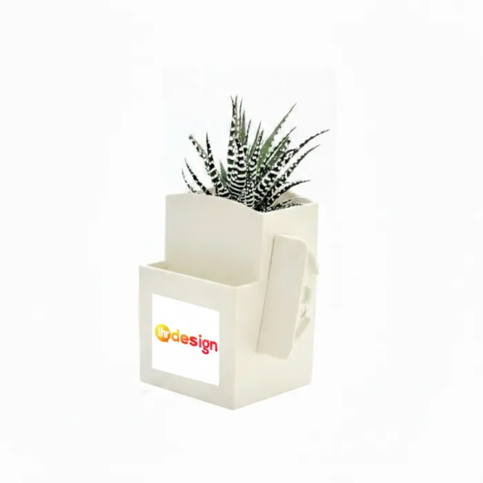 Vegetable-Box mit personalisierter Luftreinigungspflanze
