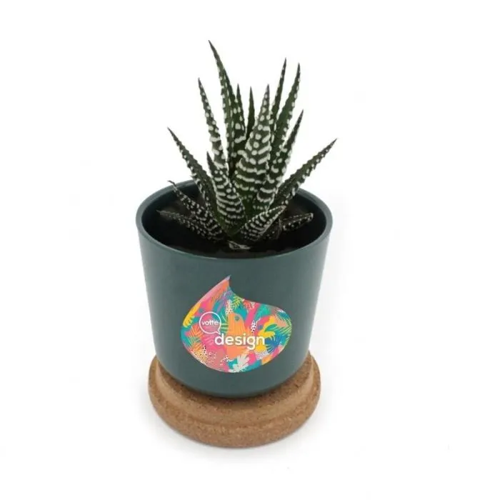 Pianta e vaso in bambù personalizzato con sottovaso in sughero