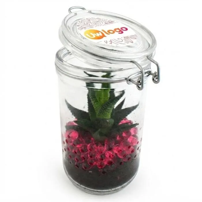 Aanpasbaar terrarium met plant en gekleurde bolletjes