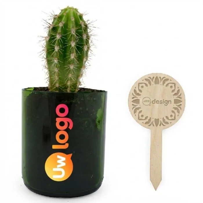 Plant in een pot van gerecycled glas met een houten reclamepennetje