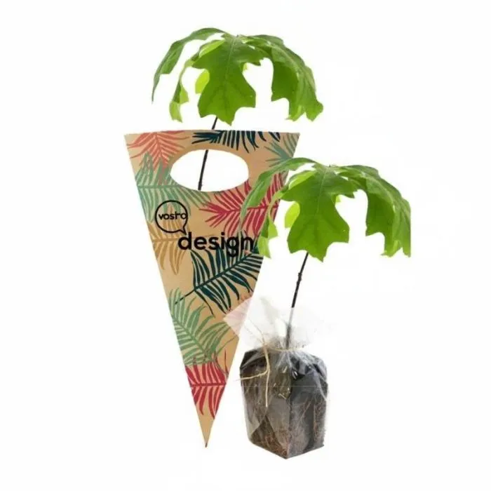 Vaso per alberi in carta kraft personalizzabile – Latifoglie