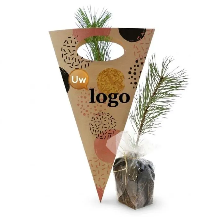 Personaliseerbare boomplant in een kraftpapieren kegel – Naaldbomen