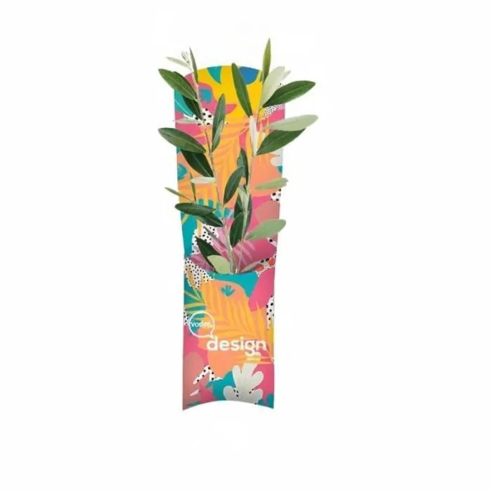 Piantina di albero in astuccio promozionale