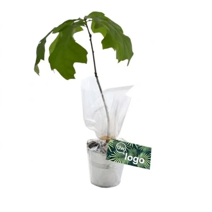 Reclamepot van zink voor bomen