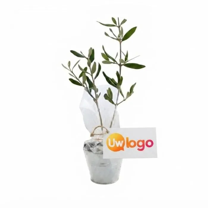 Personaliseerbare plantenpot van zink
