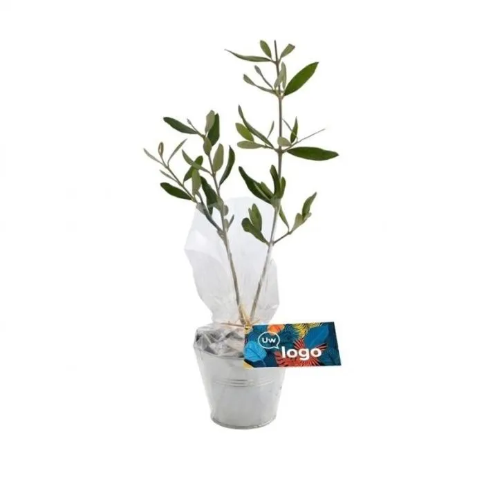 Reclameplantje in een zinken potje - 10 cm