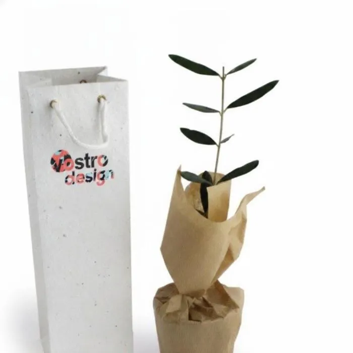 Albero in sacchetto da piantare personalizzabile - Conifere
