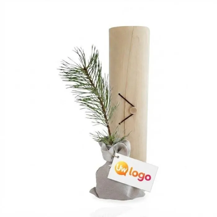 Boompje in een gepersonaliseerde houten kist - Naaldboom