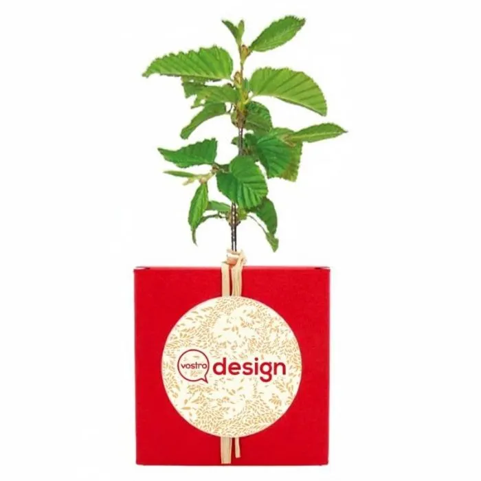 Il cubo pubblicitario a forma di albero - Latifoglie