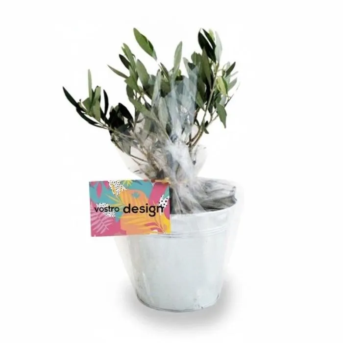 Vaso in zinco personalizzato con una quercia