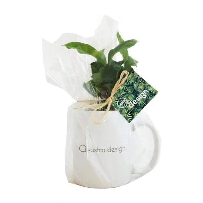 Albero del caffè su tazza promozionale