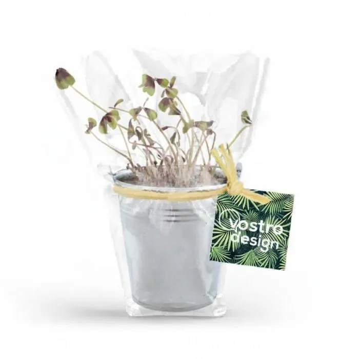 Trifoglio a quattro foglie in vaso di zinco personalizzato
