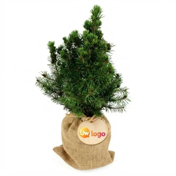Reclame-kerstboom met personaliseerbaar jutezakje -  Picea Conica