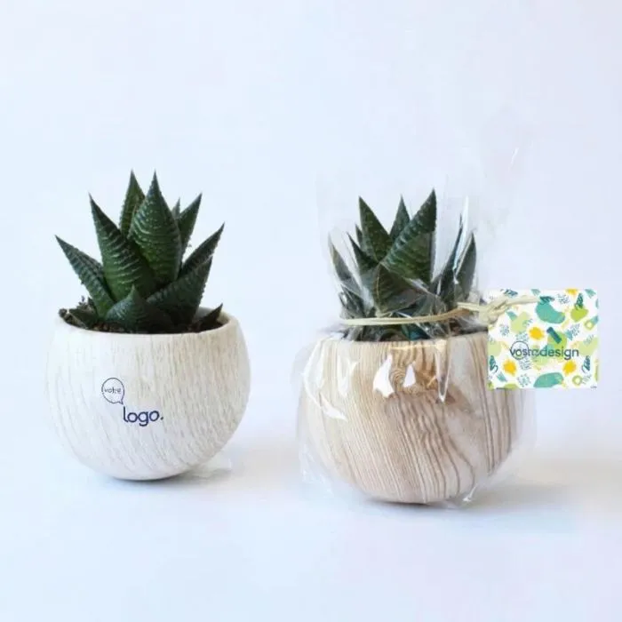 Pianta verde in vaso di ceramica effetto legno con magnete, oggetto promozionale