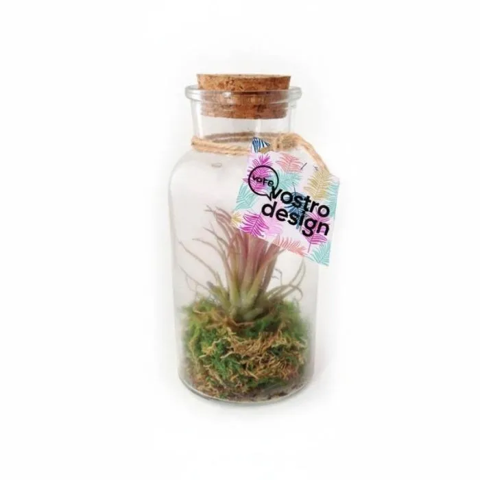 Flacone personalizzato con Tillandsia