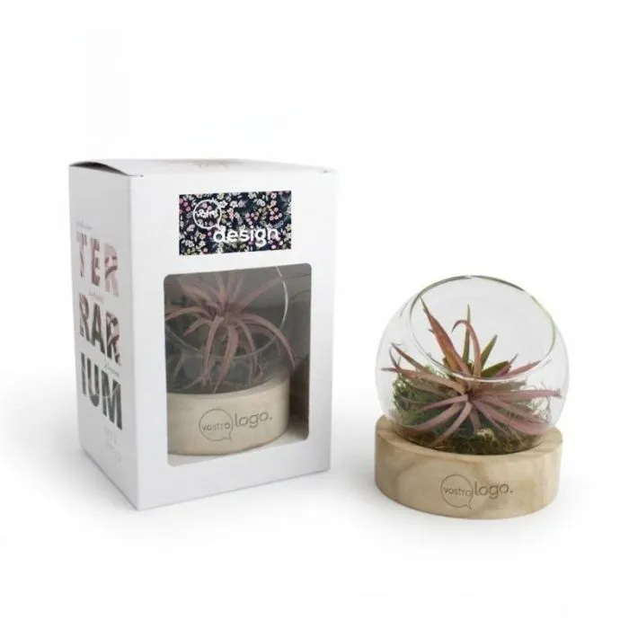 Piccolo terrario con base a forma di vaso personalizzato
