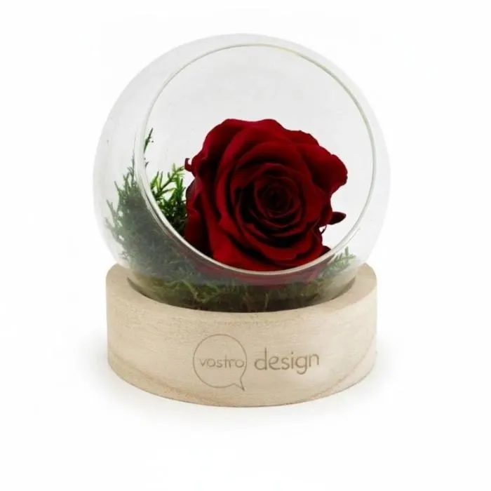 Rosa eterna nella sua teca personalizzata