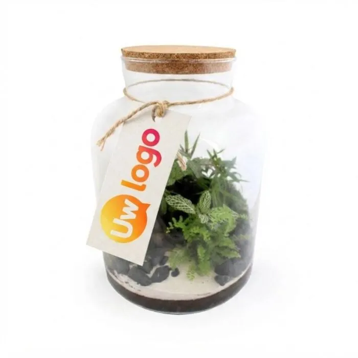 Tropisch terrarium voor reclamedoeleinden - Groot model