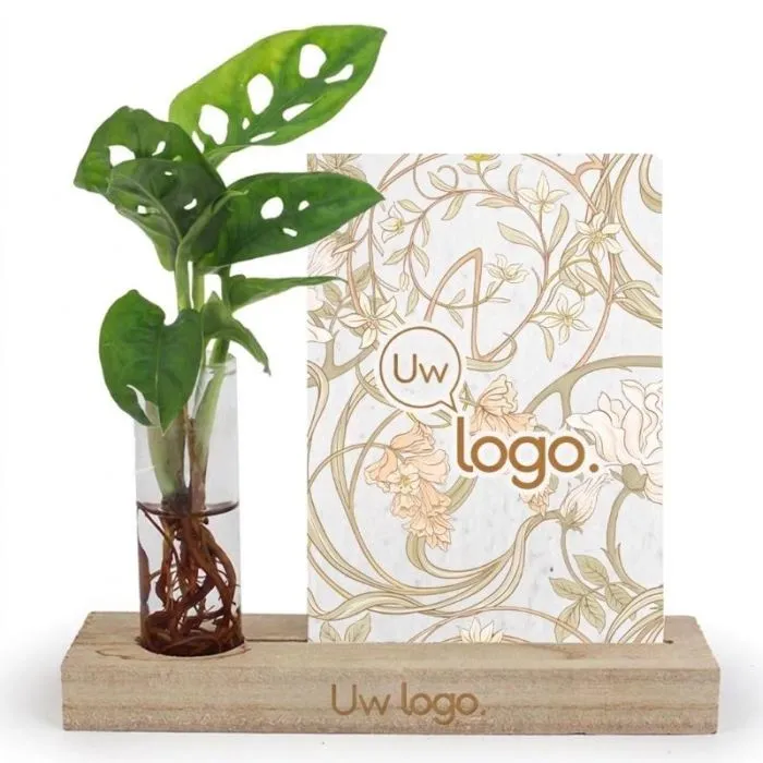 Personaliseerbare bloemenvaas met plant