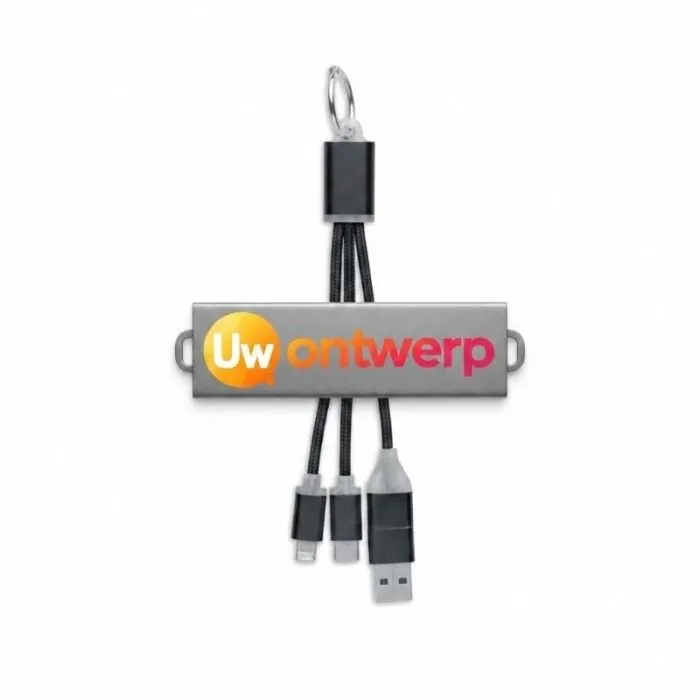 4-in-1 Type-C-oplaadkabel met reclame - BLAUW