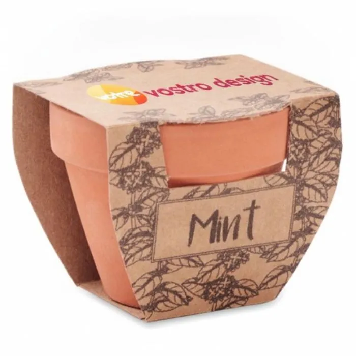 Vaso con semi di menta promozionale - MINT POT