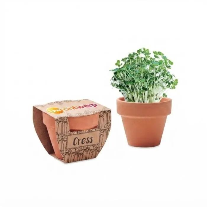 Reclamepot met waterkerszaadjes - CRESS POT