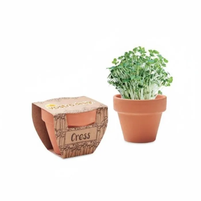 Vaso promozionale con semi di crescione - CRESS POT