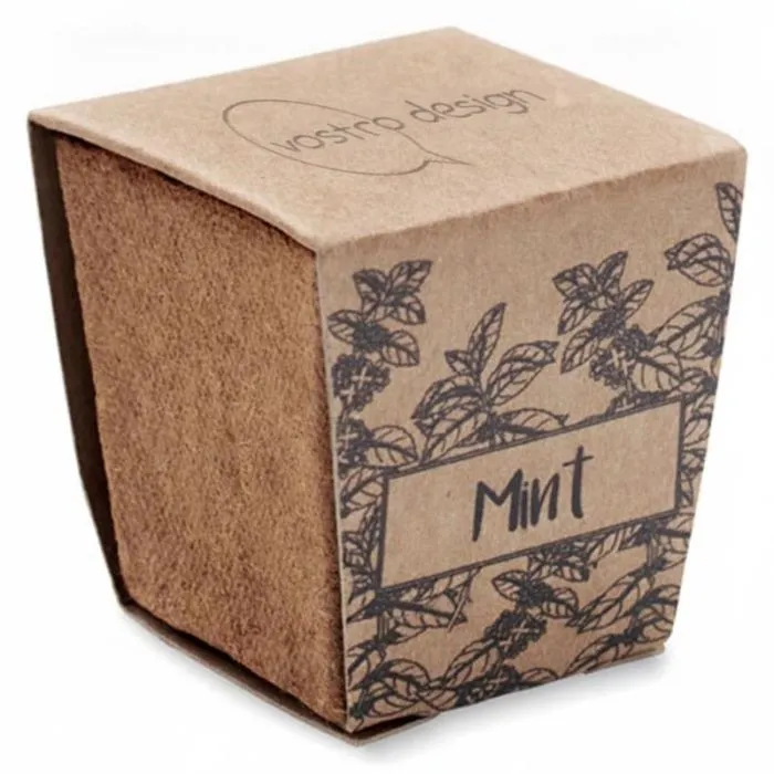 Kit promozionale di semi di menta - MINT KIT