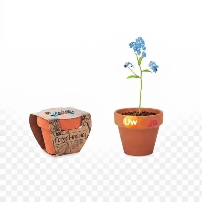Gepersonaliseerd potje met vergeet-mij-nietjeszaadjes FORGET ME NOT