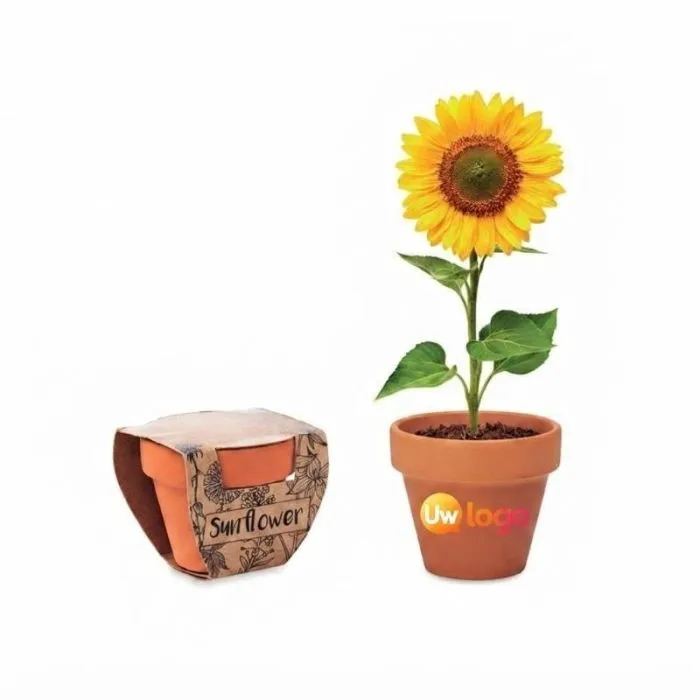Reclamepot met zonnebloempitten SUNFLOWER