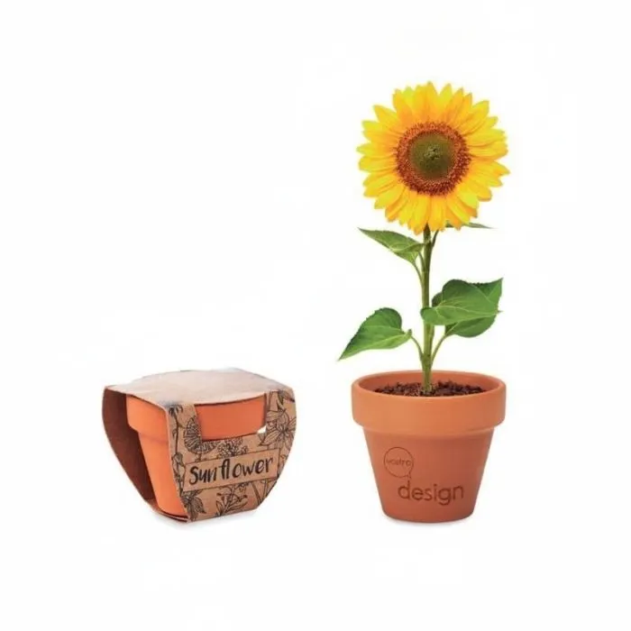 Vaso pubblicitario con semi di girasole SUNFLOWER