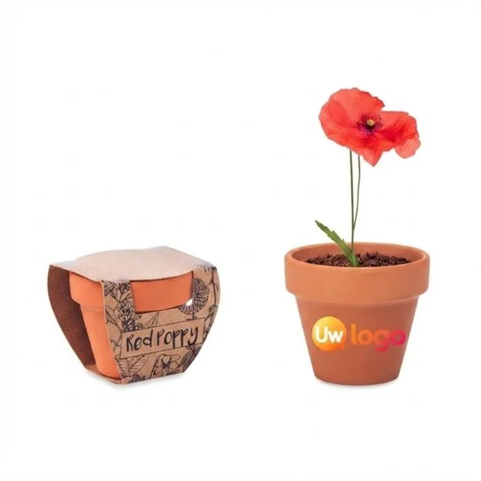 Gepersonaliseerde pot met klaprooszaadjes RED POPPY