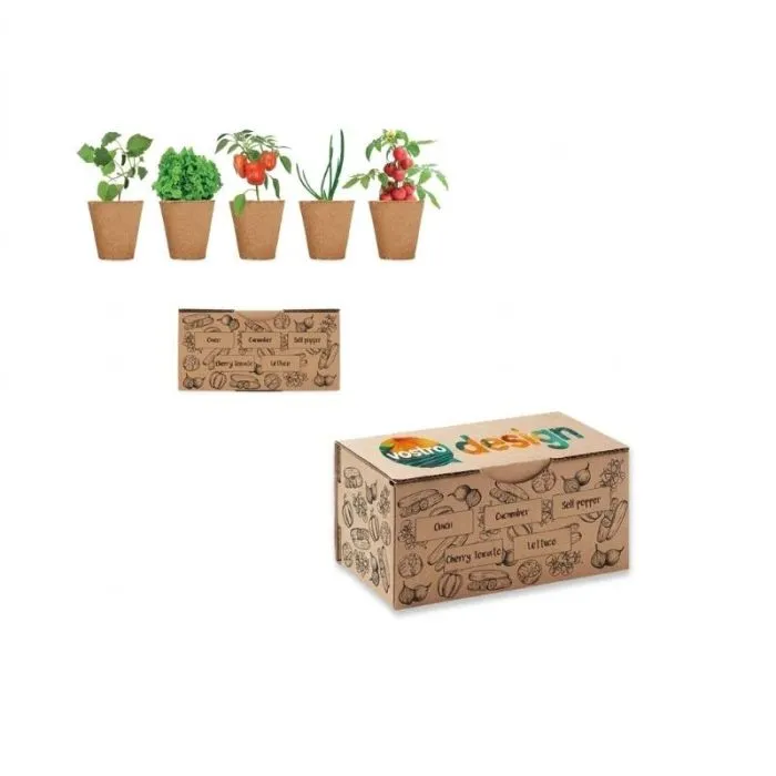 Kit per la coltivazione di insalata promozionale SALAD