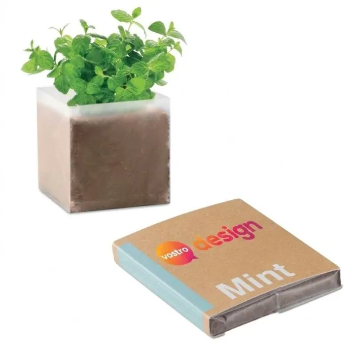 Substrato personalizzato con semi di menta MINT