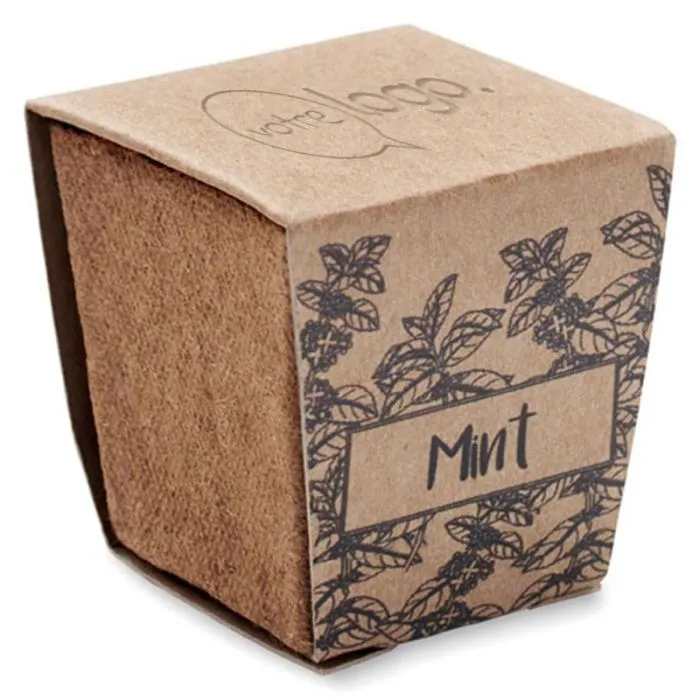 Kit de graines de menthe publicitaire -MINT KIT