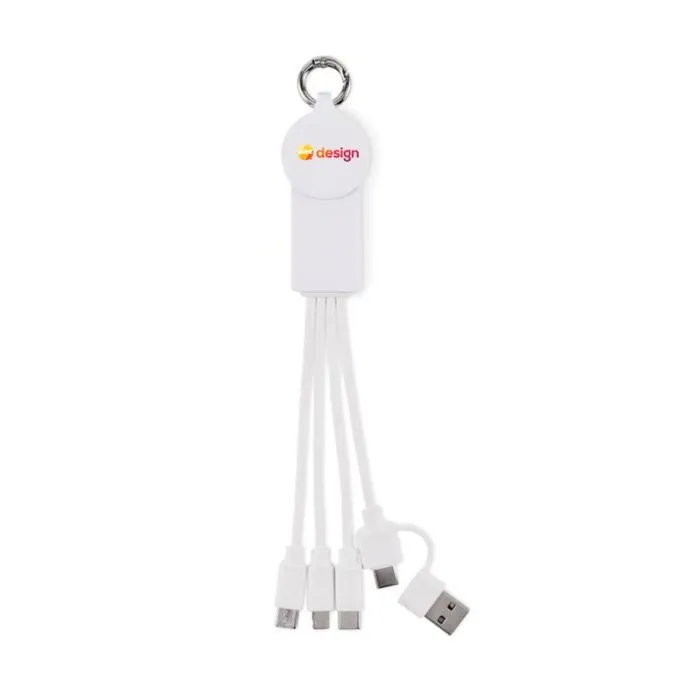 Câble de chargement multi-connecteurs  personnalisé 2-en-1