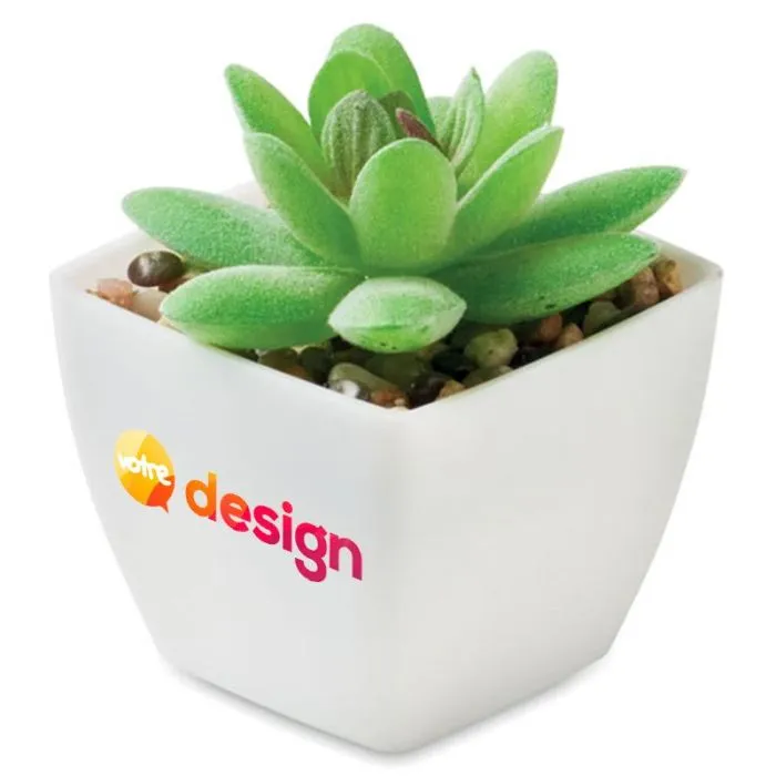 Mini plante artificielle personnalisable Graptopetalum déco - ARTIGRAP