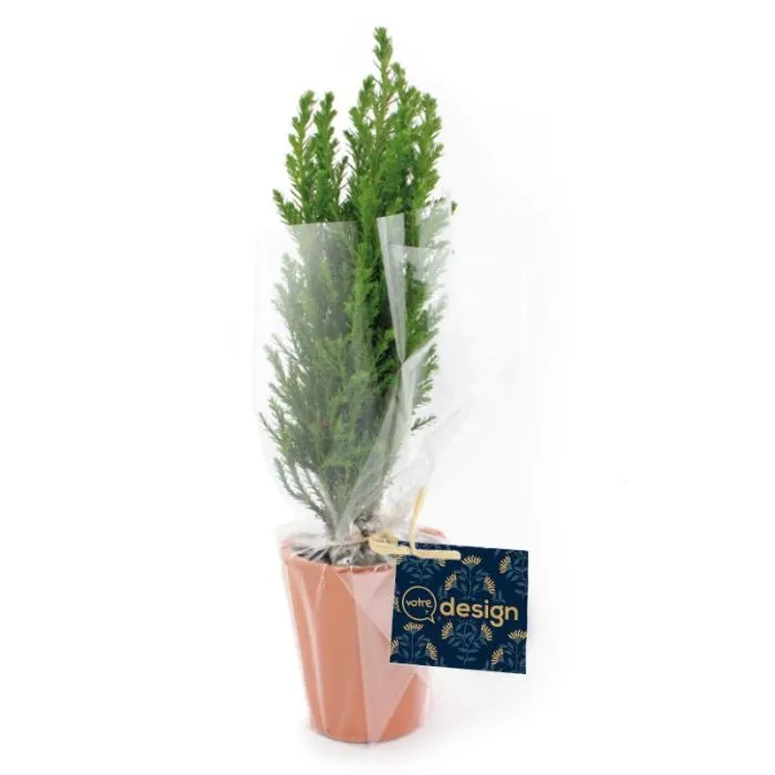Pot en terre cuite personnalisé de ø7 cm avec mini sapin (fabrication française)