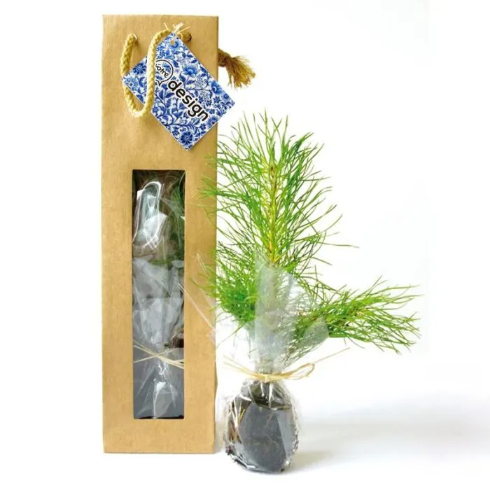 Plant d'arbre sac papier graines à personnaliser - Feuillus